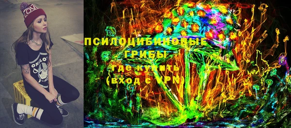 индика Верхнеуральск