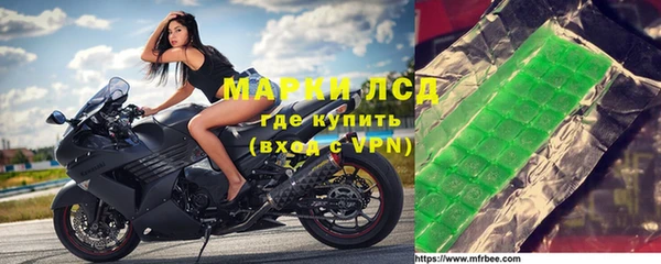 сатива Верея