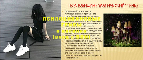 сатива Верея