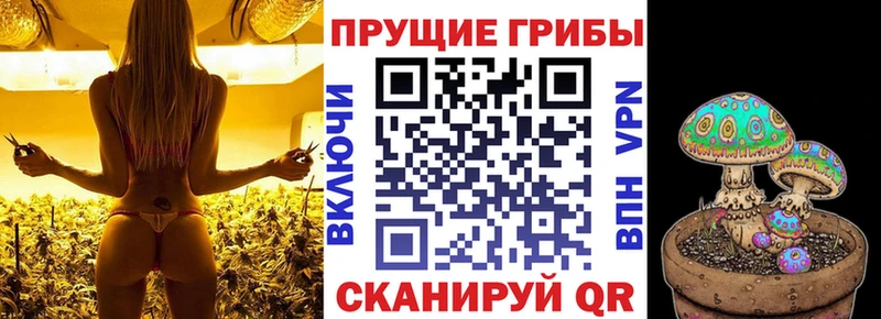 Псилоцибиновые грибы мицелий  Инза 
